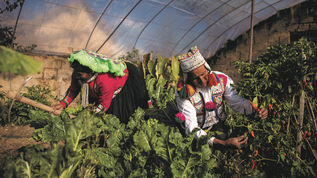 Seguridad Alimentaria Nutricional, Hídrica y Cambio Climático