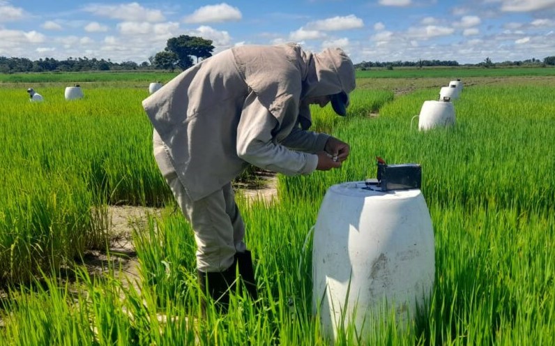 Tecnologías y Herramientas Digitales en Seguridad Alimentaria y Nutricional